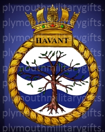 HMS Havant Magnet